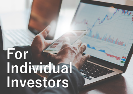 For Individual Investors