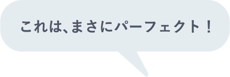 これは、まさにパーフェクト！