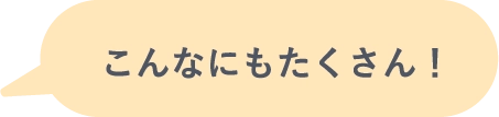 こんなにもたくさん！