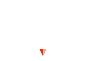 SHIP’S CAT (Mirror)誕生ストーリー