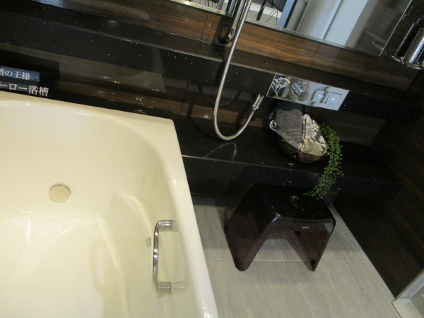 浴槽の王様である「鋳物ホーロー浴槽」とクォーツストーンカウンターの組み合わせはタカラスタンダードにしかできない高級感のある浴室です。