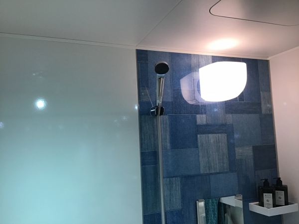 シャワーヘッドや照明もシンプルです。照明はＬＥＤで電球交換も可能です。