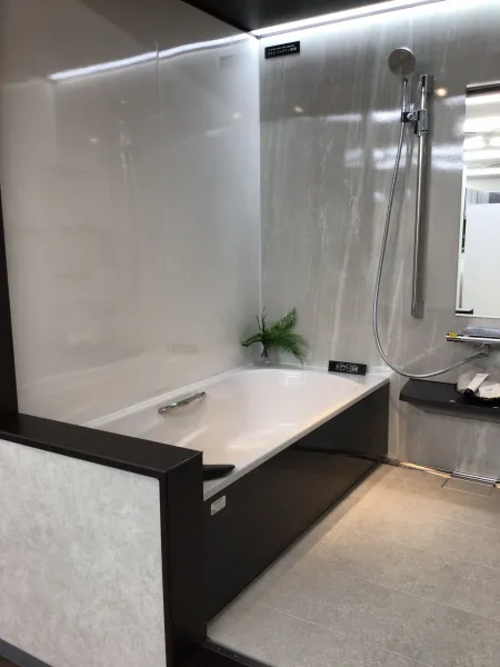 新品 シリカ水素バスボール 4箱セット エコロインターナショナル お風呂用 エコロ・インターナショナル / <シリカ水素水>(お風呂用)水素