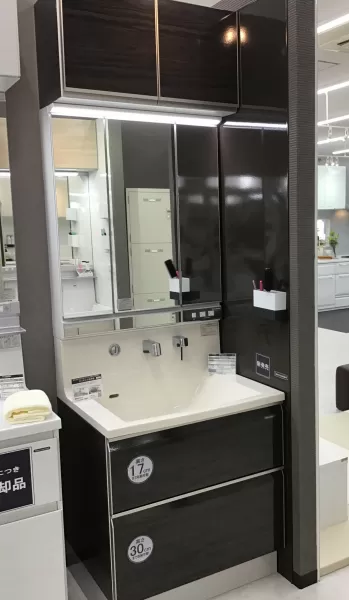 Amazon.co.jp: 【排水セット付き】 洗面ボウル 陶器 豪華 手洗器