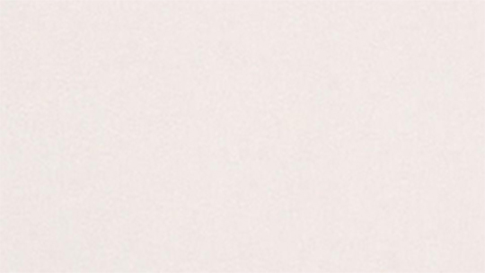 PIN: Pure Ivory