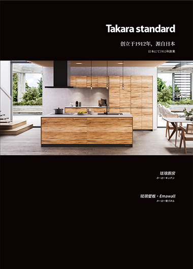 Simplified Chinese(簡体字)