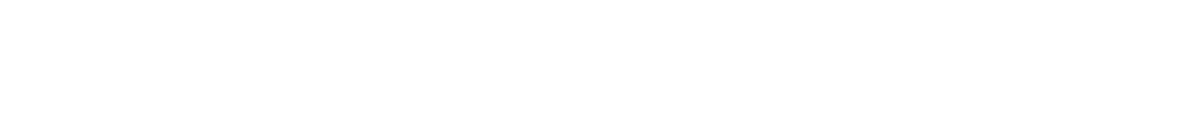 Edel 方案示例