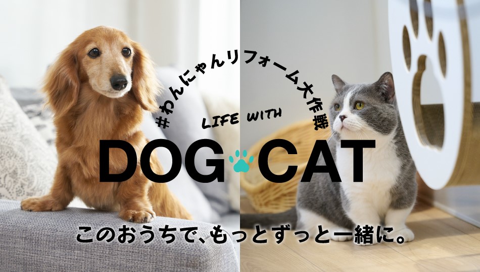 わんにゃんリフォーム大作戦