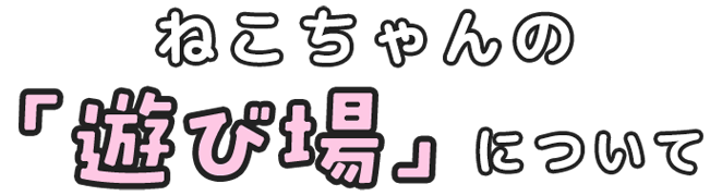 ねこちゃんの「遊び場」について