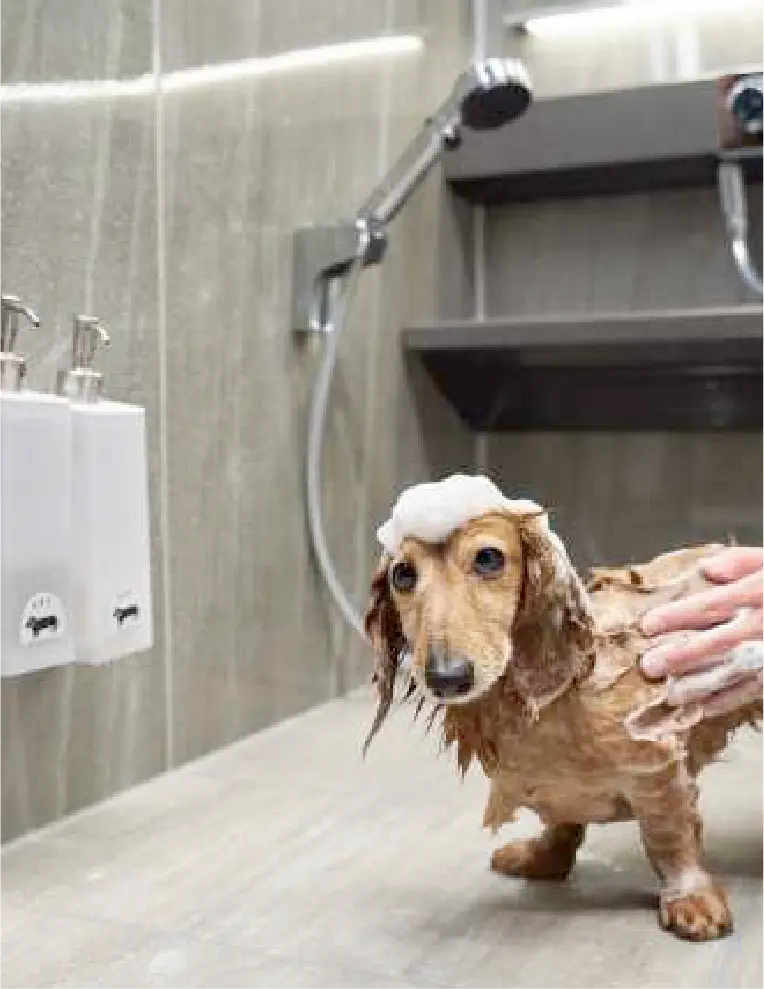 滑りにくい床で安心のお風呂