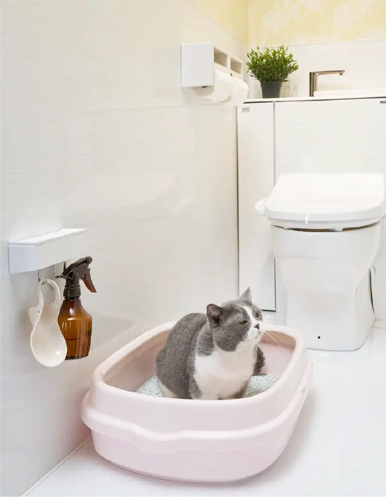 ニオイもキズもつきにくい、清潔なトイレ