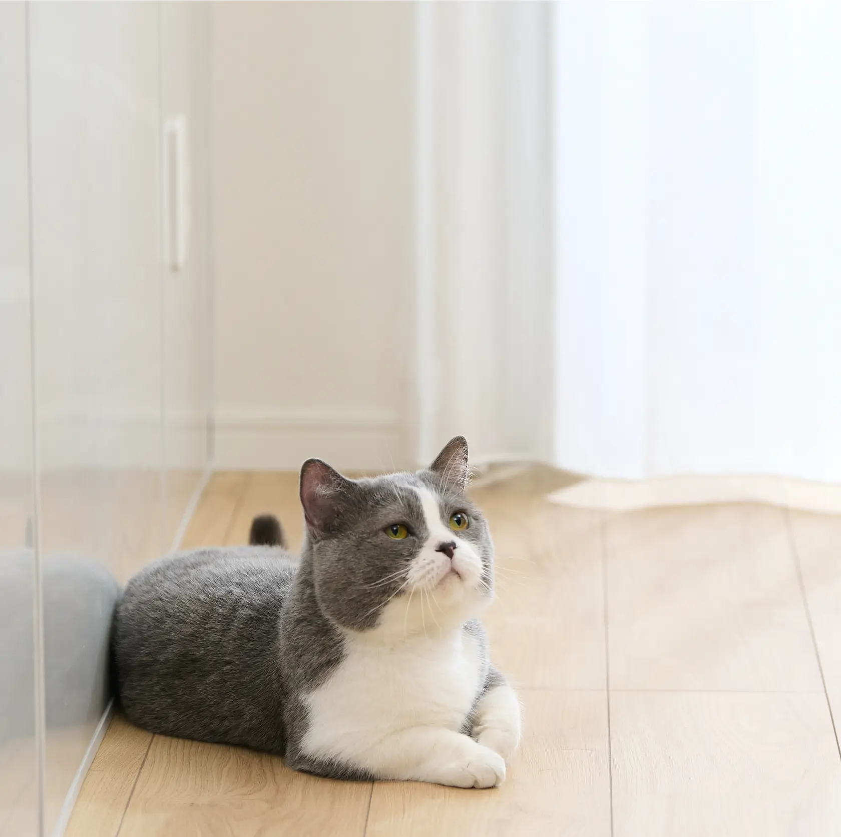 リビングルーム