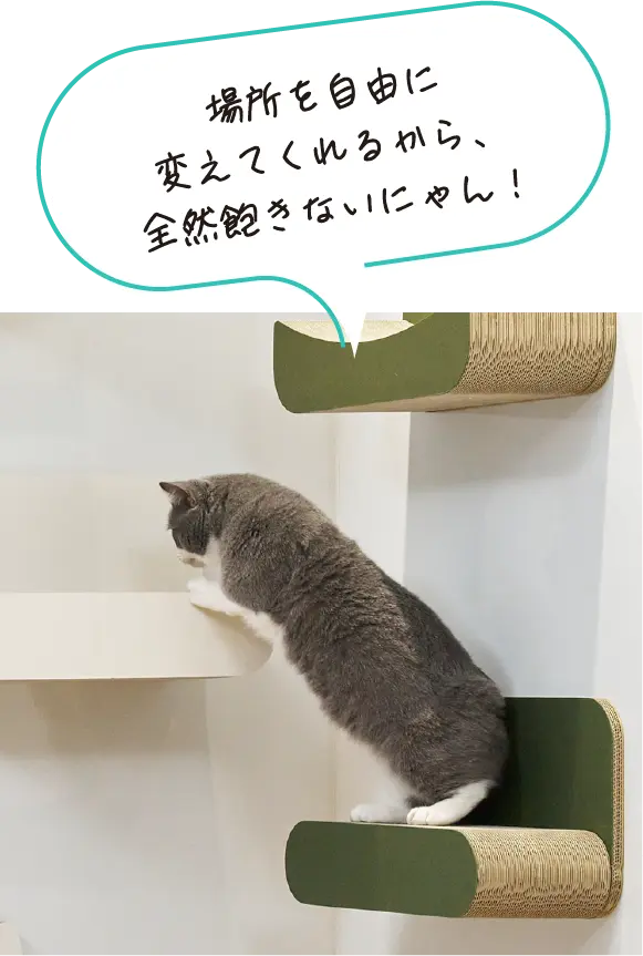 マグネット式 キャットウォーク
