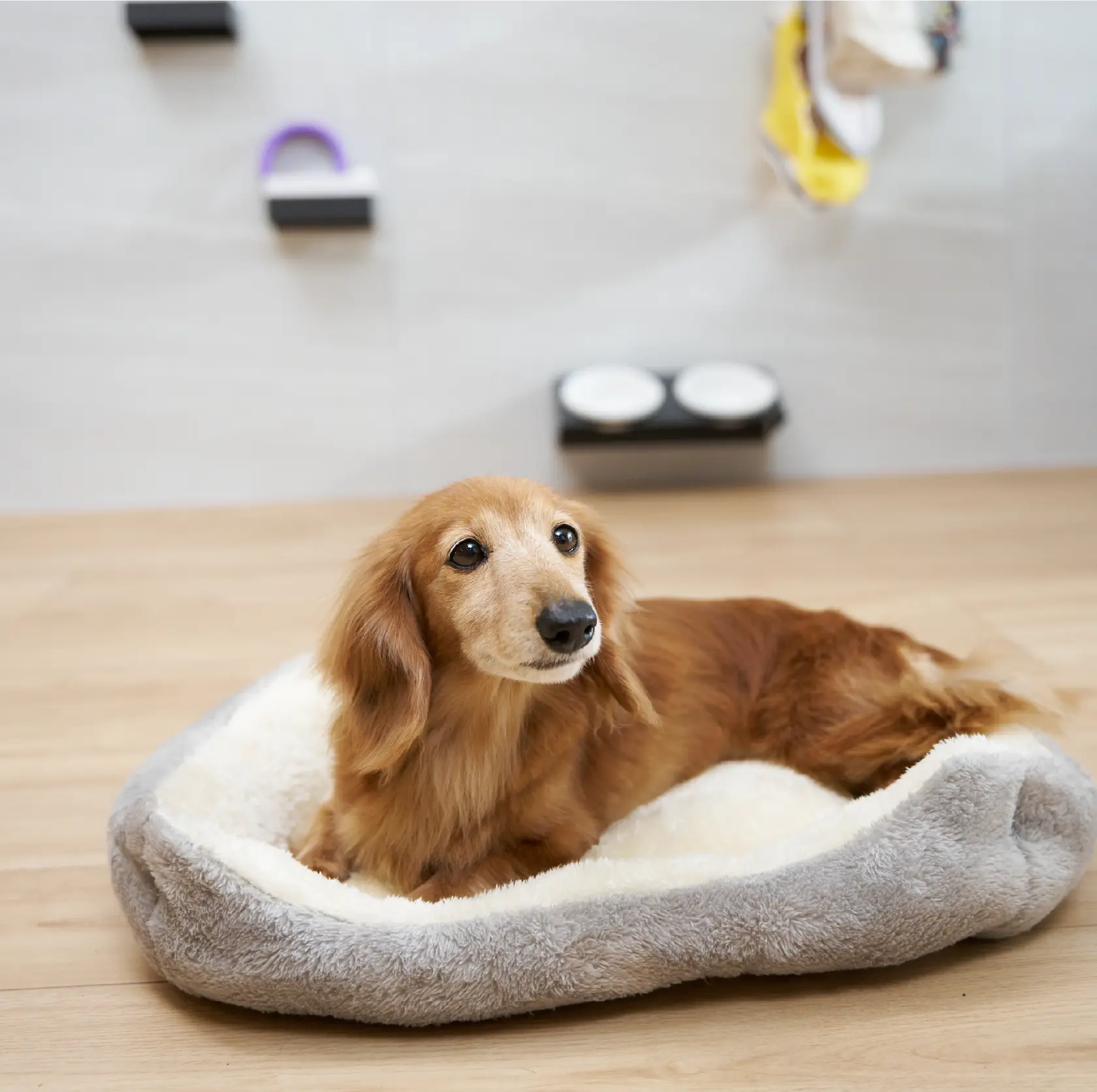 リビングルーム