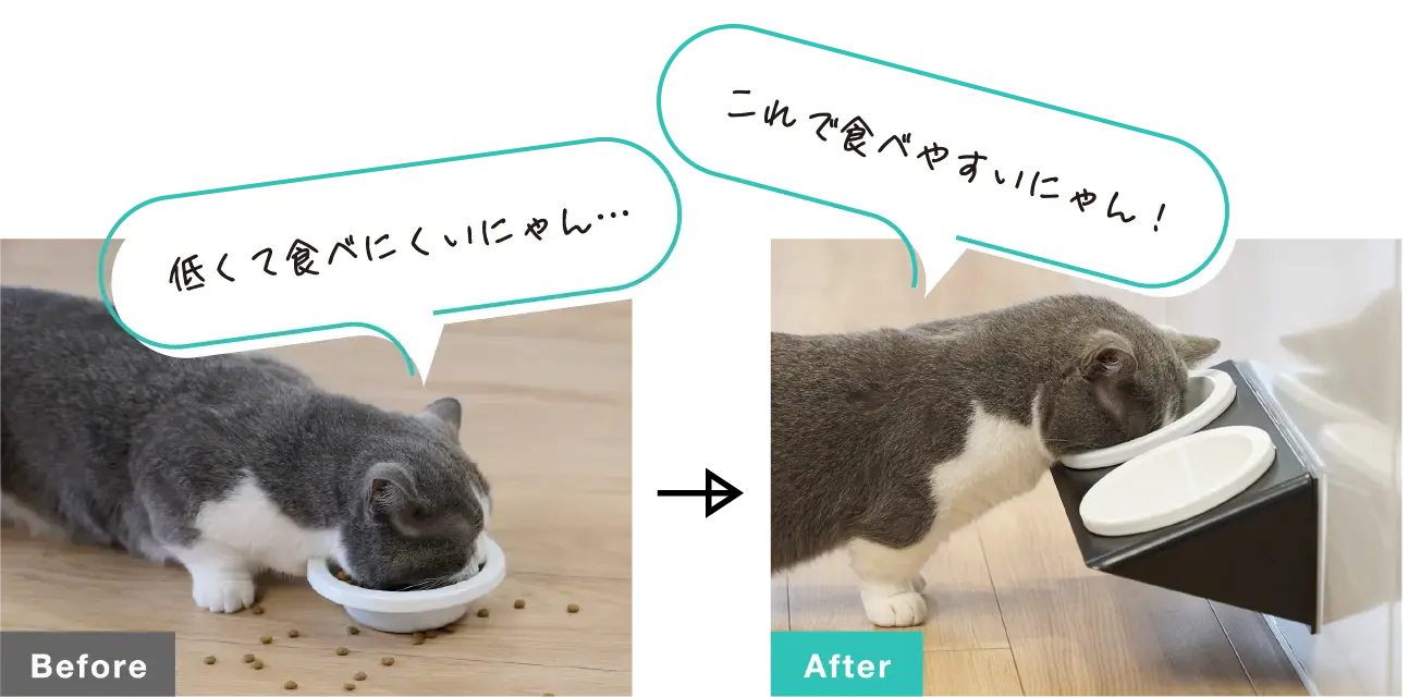 お食事を快適に