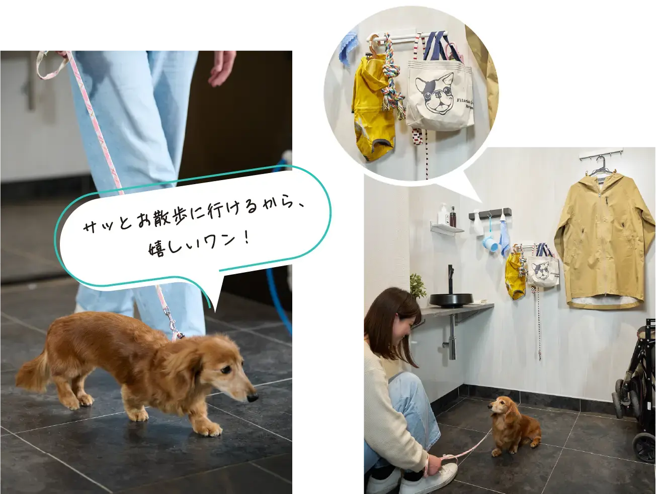 エントランスの壁