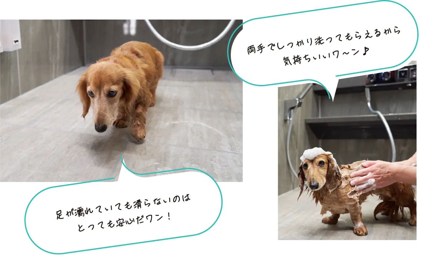 足が濡れていても滑らないのはとっても安心だワン!両手でしっかり洗ってもらえるから気持ちいいワ~ン♪