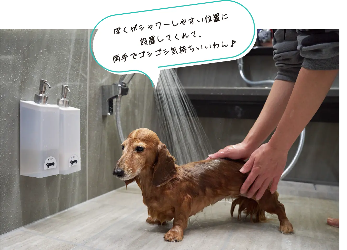 ぼくがシャワーしやすい位置に設置してくれて、両手でゴシゴシ気持ちいいわん♪
