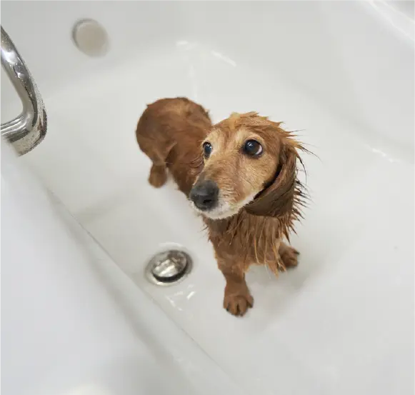 鋳物ホーロー浴槽