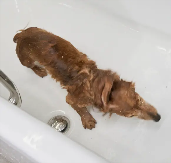 キープクリーン浴槽